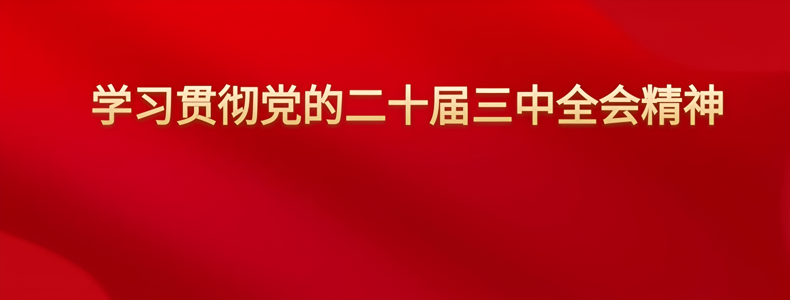 成人影视片